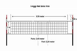 Net Voli Putra Putri